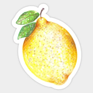 Watercolor Lemon Pattern on White Sticker
